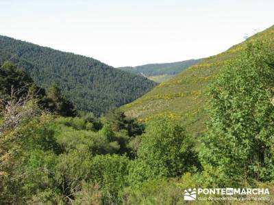 Senderismo Sierra de la Demanda- Atapuerca y Alto Oca; blog senderismo